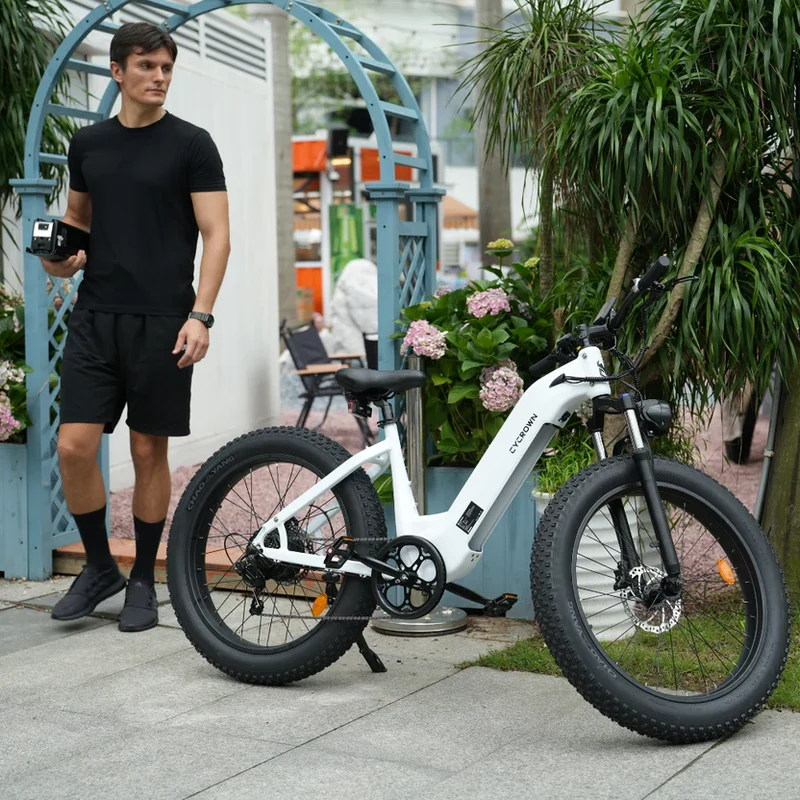 Cycrown CycVerve Fat Tire Ebike