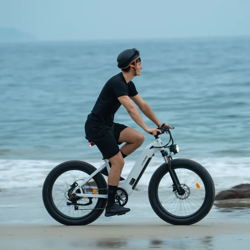 Cycrown CycVerve Fat Tire Ebike