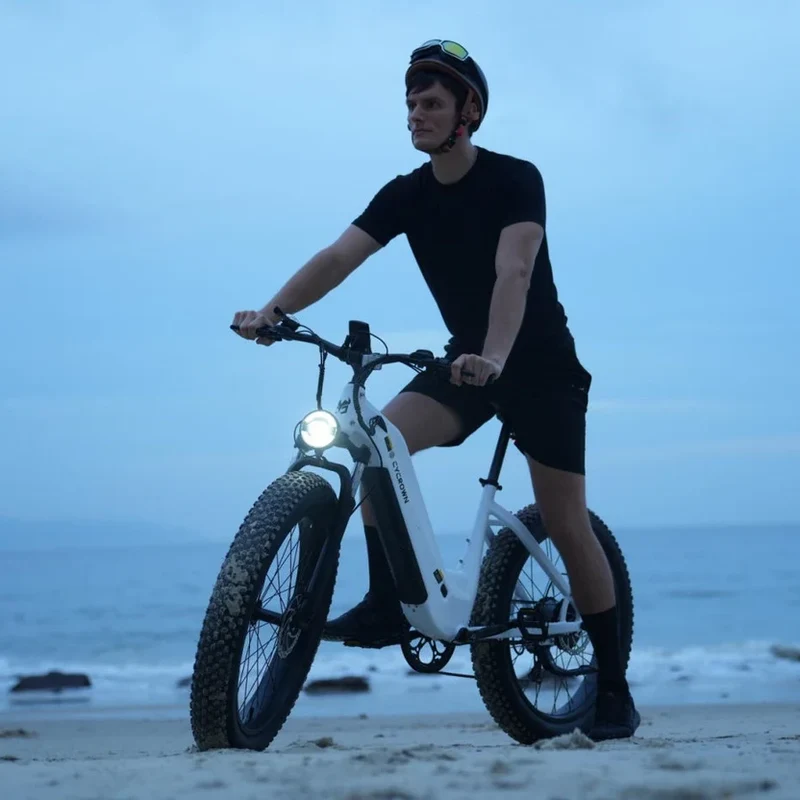 Cycrown CycVerve Fat Tire Ebike