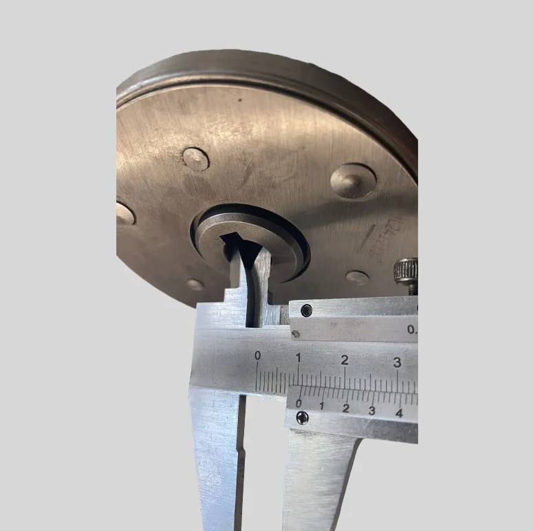 Ingranaggi Motore Satelliti Completi di Piattello Originale per ENGWE ENGINE PRO 2.0 / M20 (versione XD motore)