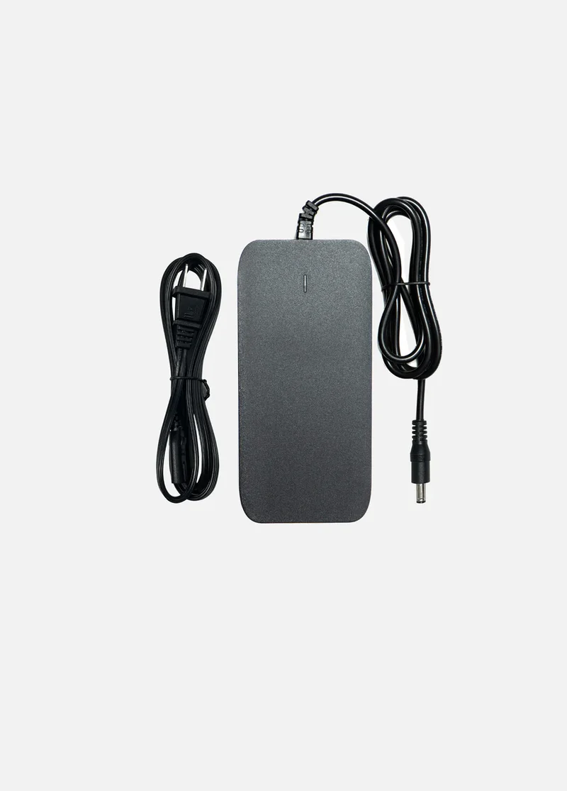 Carica batteria 54.6V 2A/3A (connettore DC 5.5x2.1mm) Originale per bicicletta elettrica ENGWE EP-2 Pro/EP-2 Pro EU/Engine Pro/Engine X/M20/L20/E26/E26 ST - Compatibile con altri modelli
