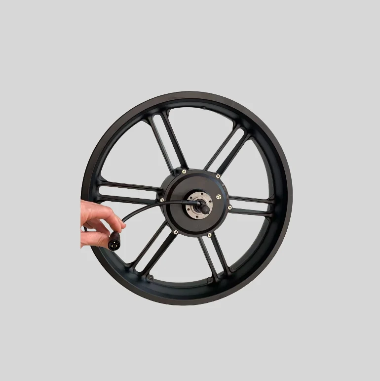 Cerchione Posteriore con Motore ruota Originale per ENGWE ENGINE PRO 2.0