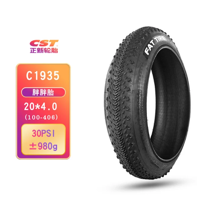 Copertone CST Pneumatico 20x4.0 pollici Fat Tire per bici elettriche E-Bike ENGWE EP-2 Pro/EP-2 PRO EU/EP-2 BOOST/ Engine Pro/M20/ENGINE X e altri