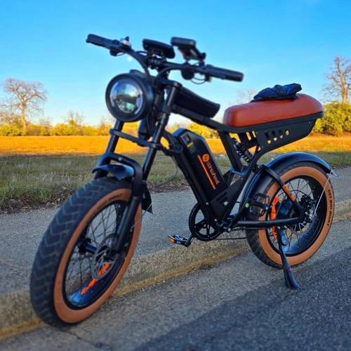 isinwheel R6 1000W Retro Electric Bike