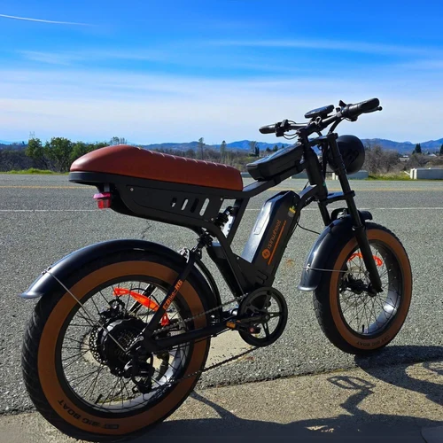 isinwheel R6 1000W Retro Electric Bike