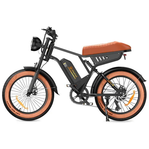 isinwheel R6 1000W Retro Electric Bike