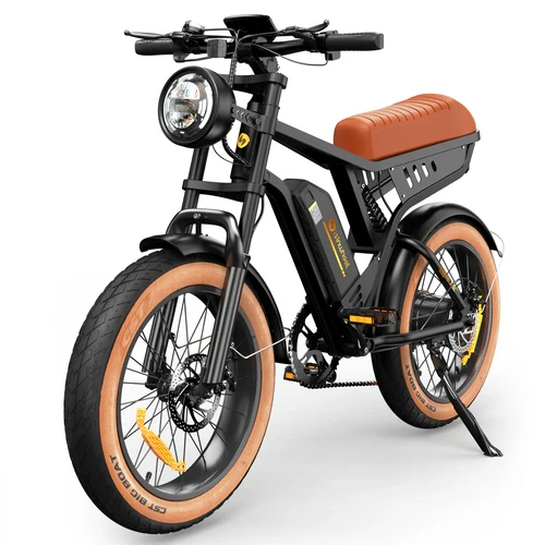 isinwheel R6 1000W Retro Electric Bike