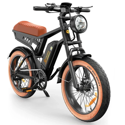 isinwheel R6 1000W Retro Electric Bike