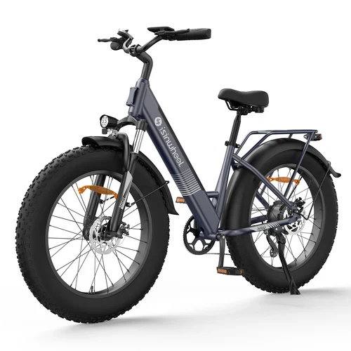 isinwheel M60 750W All-terrain Electric Bike