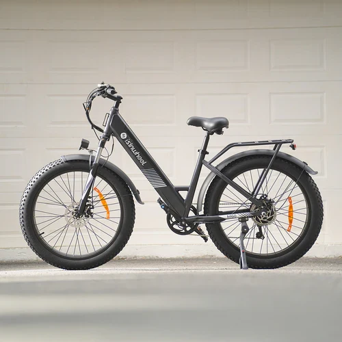 isinwheel M60 750W All-terrain Electric Bike