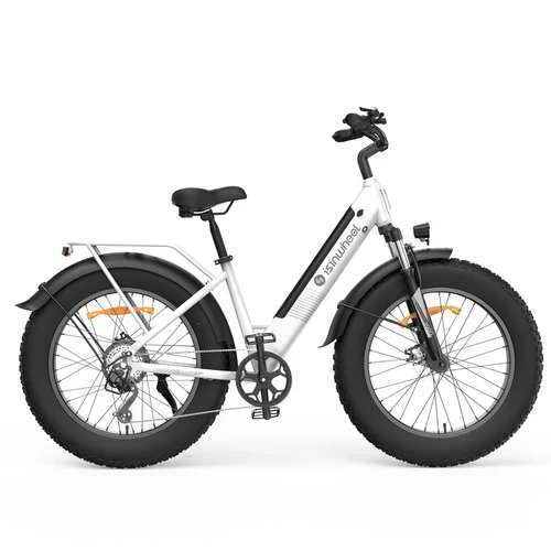 isinwheel M60 750W All-terrain Electric Bike