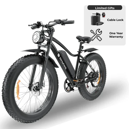 isinwheel M10Plus Electric Bike