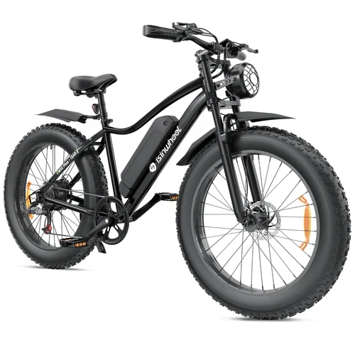 isinwheel M10Plus Electric Bike