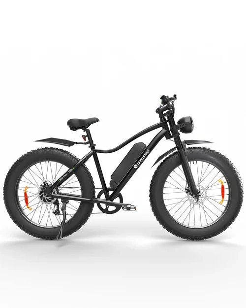 isinwheel M10Plus Electric Bike