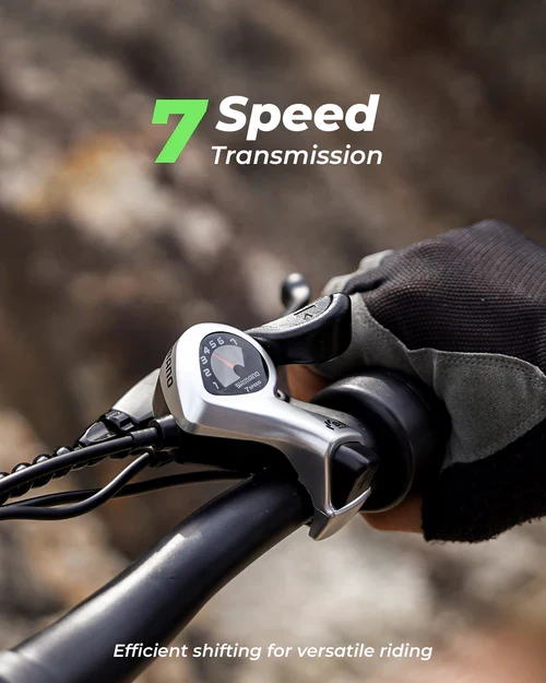 isinwheel M10Plus Electric Bike