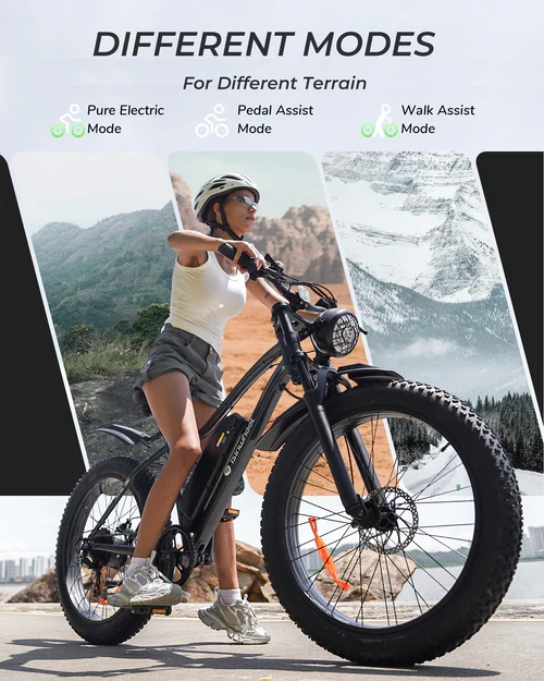 isinwheel M10Plus Electric Bike