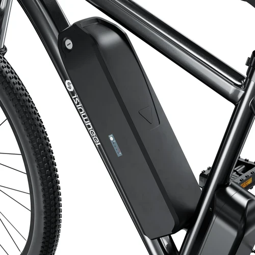 isinwheel M10 500W Electric Commuter Bike