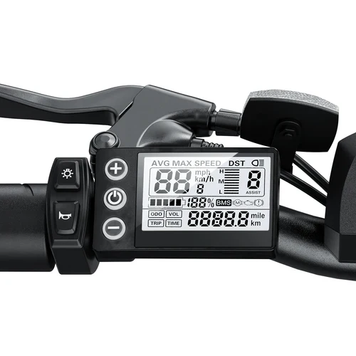 isinwheel M10 500W Electric Commuter Bike
