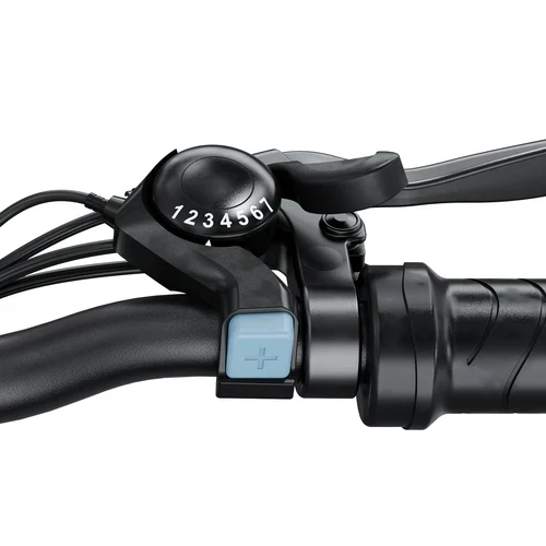 isinwheel M10 500W Electric Commuter Bike