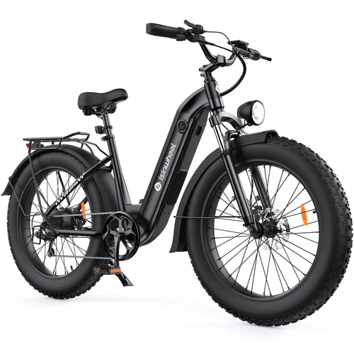 isinwheel U8 Ultra Electric Bike for Adults