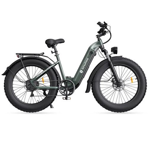 isinwheel U8 Ultra Electric Bike for Adults