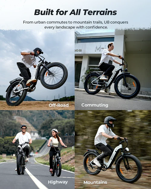 isinwheel U8 Ultra Electric Bike for Adults