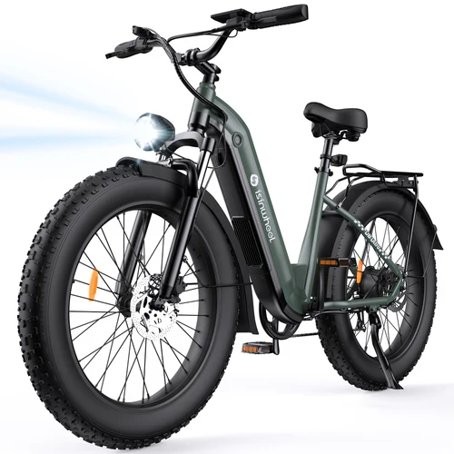 isinwheel U8 Plus Electric Bike for Adults