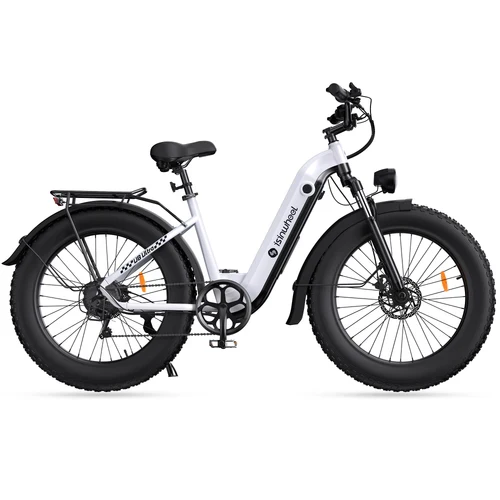 isinwheel U8 Plus Electric Bike for Adults