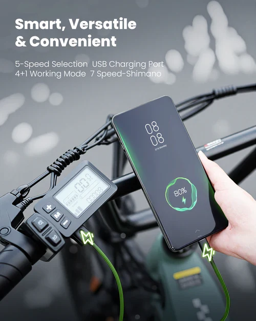 isinwheel U8 Electric Bike for Adults