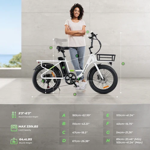 isinwheel U7 Cargo Bike