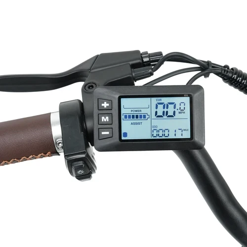 isinwheel U2 Electric Cruiser Bike