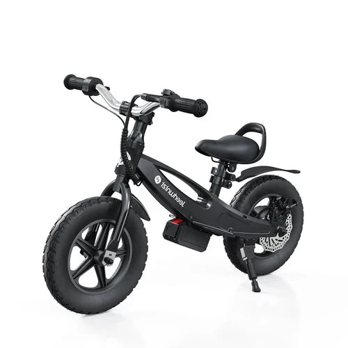 isinwheel SK12 Electric Bike for Kids