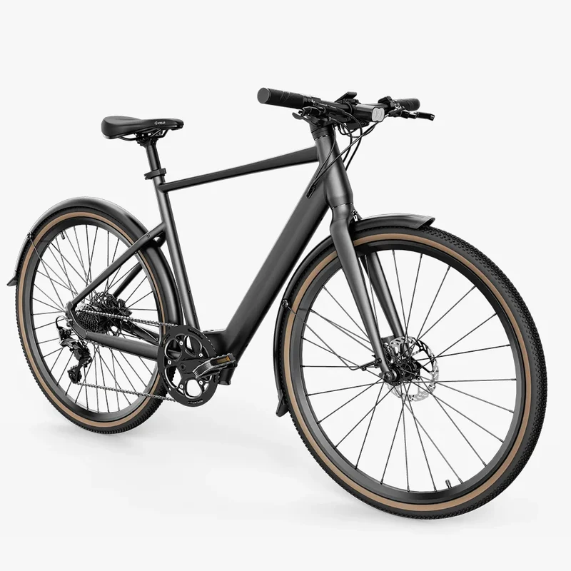 Fiido C21 E-gravel & bici elettrica da città
