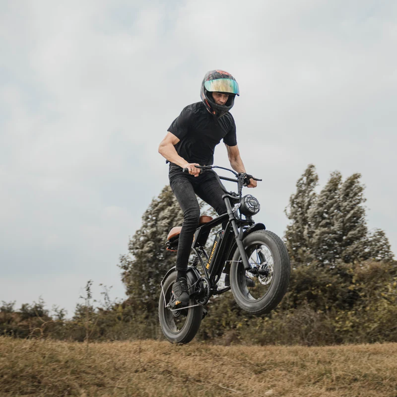 Cycrown CycRun Vintage Moped Ebike