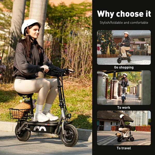 iScooter F2 Electric Scooter with Seat 10" Pneumatic Tire
