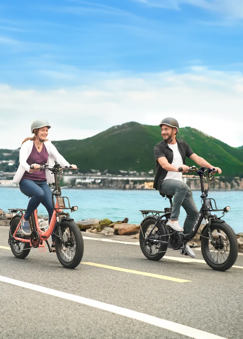 ENGWE L20 2.0 Step-Thru Utility E-Bike