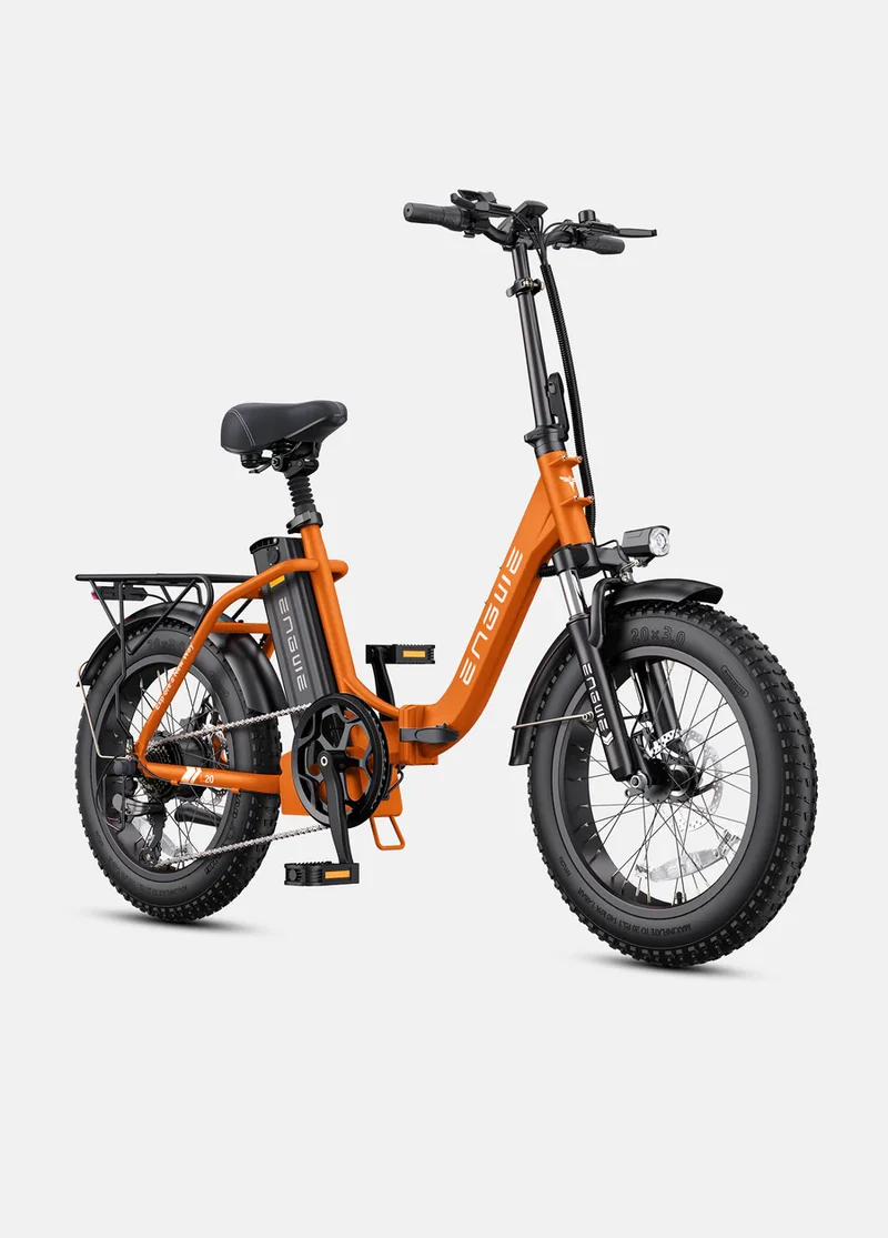 ENGWE L20 2.0 Step-Thru Utility E-Bike