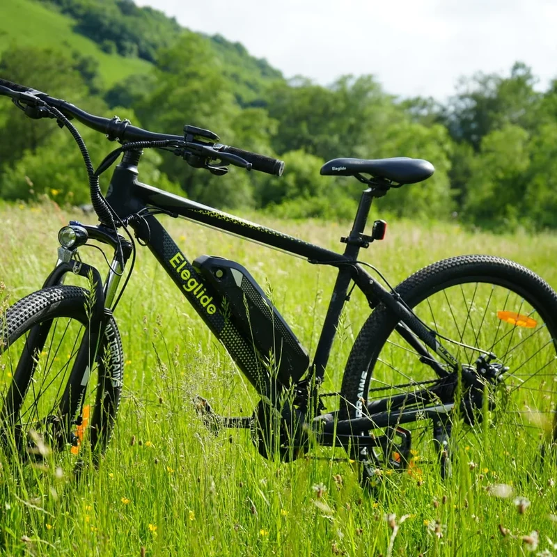 Eleglide M1 Plus Electric Mountain Bike (App Included)