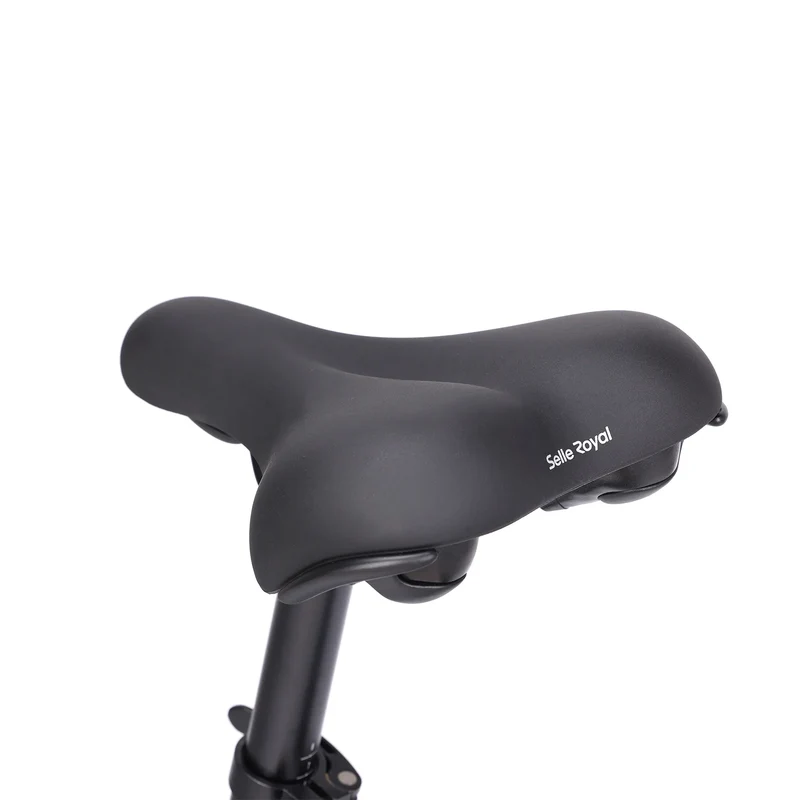 Eleglide C1 ST Trekking E-Bike