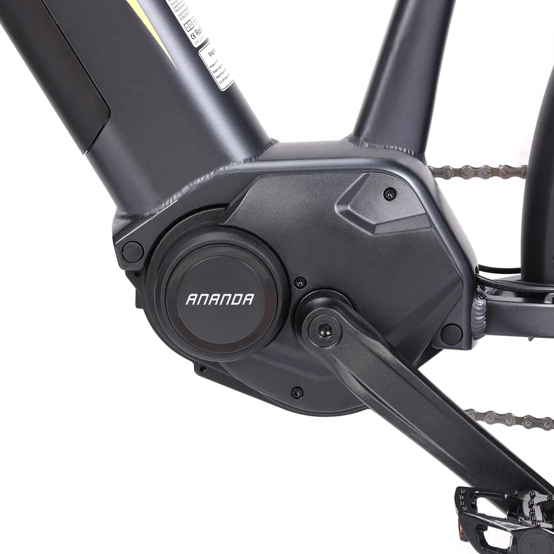 Eleglide C1 ST Trekking E-Bike
