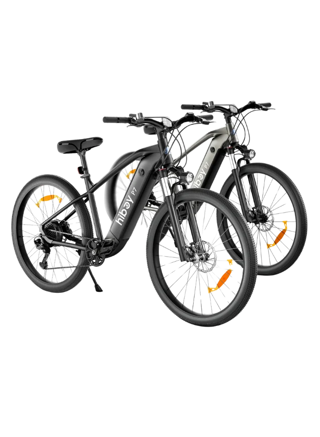 EcoRide One - By GreenPulse Mobility