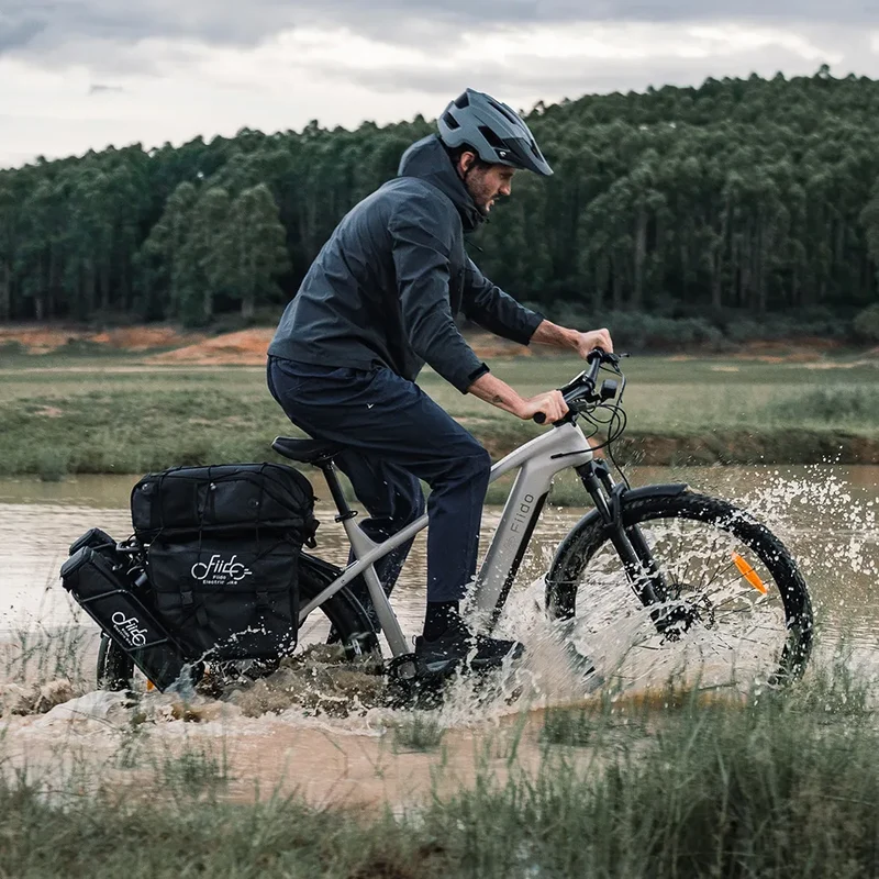 Fiido Nomads | Bicicletta elettrica da turismo | Motore 250W | 417,6 Wh | Sensore di coppia | Freni idraulici | Autonomia 79.36Km| GARANZIA ITALIANA