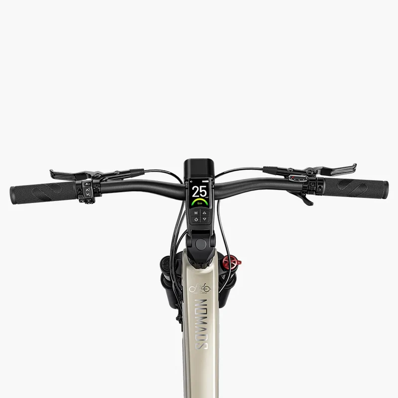 Fiido Nomads | Bicicletta elettrica da turismo | Motore 250W | 417,6 Wh | Sensore di coppia | Freni idraulici | Autonomia 79.36Km| GARANZIA ITALIANA