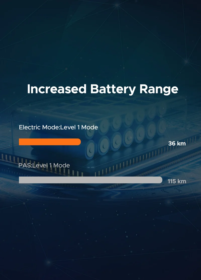 Batteria ENGWE Originale posteriore 48V13Ah +Portapacchi posteriore per EP-2 Pro