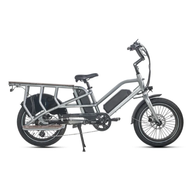 JOBOBIKE TRANSER Bici da carico elettrica per famiglia 48 V 15Ah | 250W XOFO | Autonomia ≥80Km/≥150Km | CST 20" x 3"