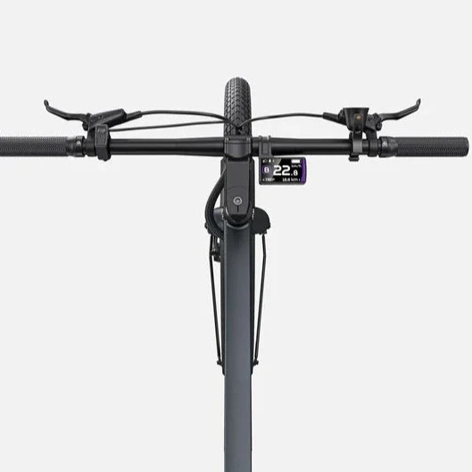 Ebike ENGWE P275 pro 250W 260 KM GARANZIA ITALIA Bici Sensore di coppia Bafang Motore centrale
