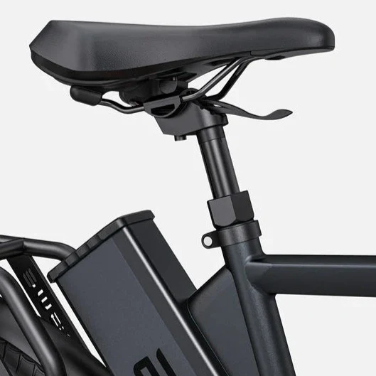 Ebike ENGWE P275 pro 250W 260 KM GARANZIA ITALIA Bici Sensore di coppia Bafang Motore centrale