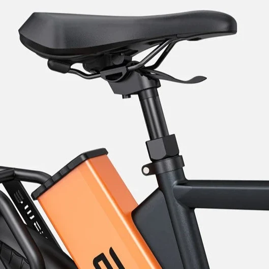 Ebike ENGWE P275 pro 250W 260 KM GARANZIA ITALIA Bici Sensore di coppia Bafang Motore centrale