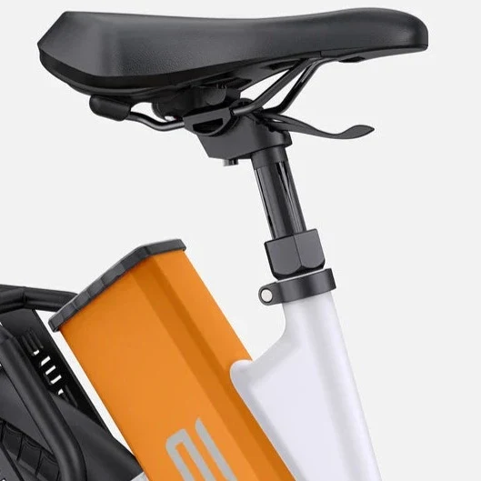 Ebike ENGWE P275 ST 250W 260 KM GARANZIA ITALIA Bici a pedalata assistita con motore centrale e sensore di coppia Ananda