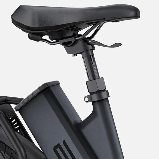 Ebike ENGWE P275 ST 250W 260 KM GARANZIA ITALIA Bici a pedalata assistita con motore centrale e sensore di coppia Ananda